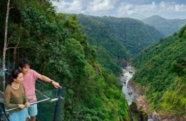 Skyrail and Kuranda Scenic Railway