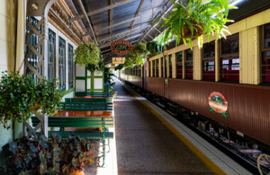 Rainforest Experience with Kuranda Scenic Railway
