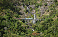 Rainforest Experience with Kuranda Scenic Railway