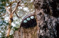 Lake Cave Admission & Guided Tour with Capes Foundation