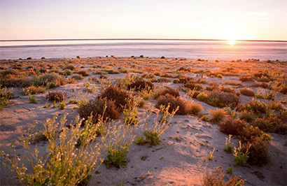 SA Eco Tours: Adelaide to Kati Thanda-Lake Eyre Small Group Eco Safari - Day 4