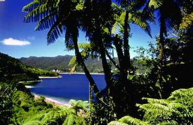 Te Urewera National Park and Lake Waikaremoana
