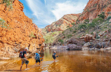 Larapinta Signature Walk - Day 4