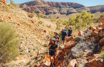 Larapinta Signature Walk - Day 5