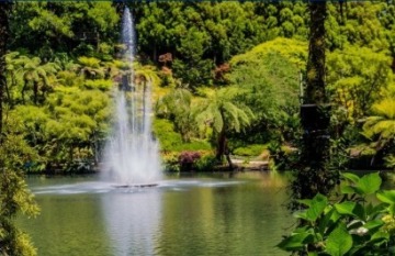 Leisure Time Travel: Taranaki Garden Festival - Day 3