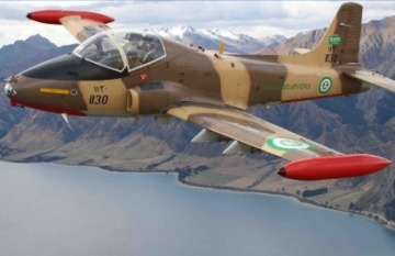 Leisure Time Travel: Warbirds over Wanaka - Day 2