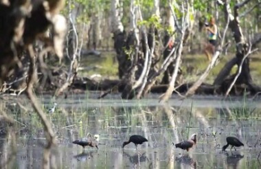 Litchfield Day Tour with Ethical Adventures