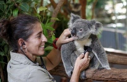Brisbane Highlights and Island Escape Package - Day 3