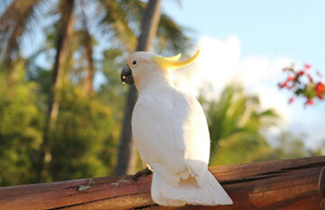 Queensland Beach Hopper Getaway - Day 3