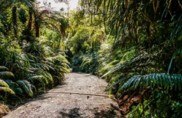 Leisure Time Travel: New Plymouth Festival of Lights - Day 4