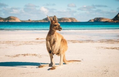 Cape Le Grand National Park