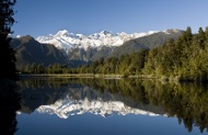 Fox Glacier and Lake Matheson Tour