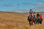 Mackenzie Alpine Horse Trekking