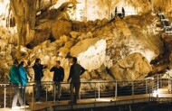 Mammoth Cave Self-Guided Admission with Capes Foundation