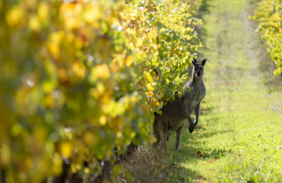 A Taste of the West - Day 4