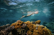 Reef Snorkel Adventure with Margaret River Adventure Co