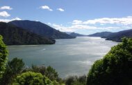 Motuara Island Bird Watchers Cruise with Beachcomber Cruises