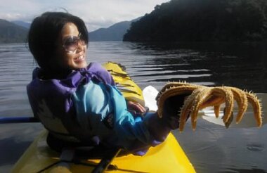 Half Day Guided Kayaking in the Marlborough Sounds