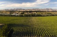 Marlborough Wineries