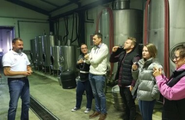 Full-Day Beyond the Vines Wine Tasting Tour with Marlborough Wine Tours