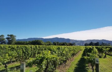 North to South Food & Wine Journey - Day 12