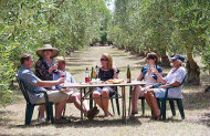 Martinborough Half Day Wine Tour with Martinborough Wine Tours