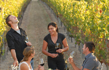 Martinborough in a Day Personal Wine Tour with Martinborough Wine Tours