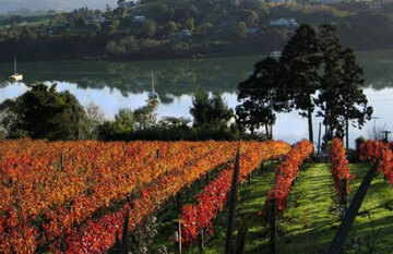 Pure New Zealand - Day 5