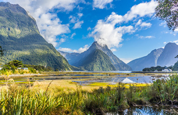 Southern Highlights and Milford Track Guided Walk - Day 6