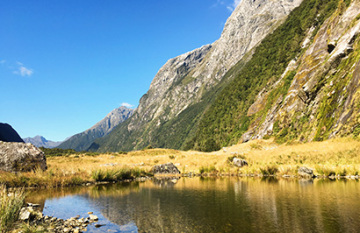 Southern Highlights and Milford Track Guided Walk - Day 6