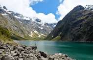 Walking tracks in and around the Milford Road