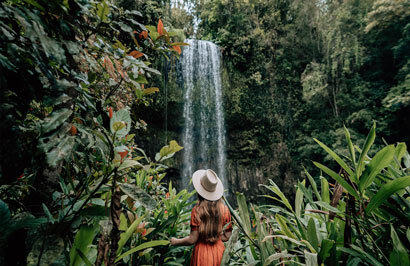 Queensland's Tropical North Holiday - Day 8