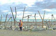 Hokitika Scenic Tours - Customisable