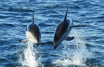 Grand Pacific 16 Day Ultimate Explorer - Day 9