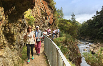 MoaTrek Kakariki 16 Day Tour - Day 5