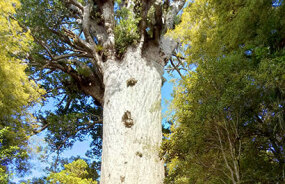 Exploring New Zealand's incredible scenery