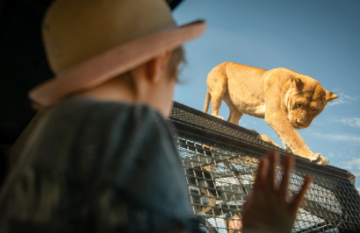 Australian Wildlife Family Tour - Day 3