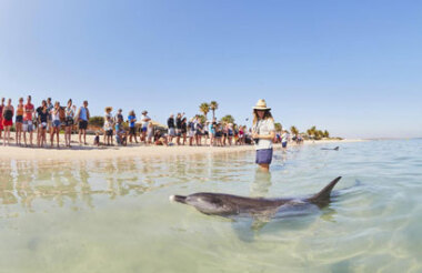 Explore New Zealand with these great holiday ideas