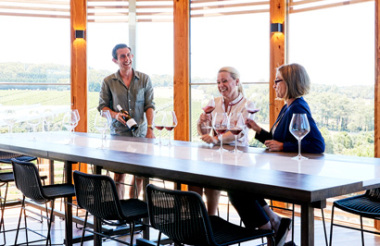 Discovery Tasting & Piazza Lunch at Montalto Winery