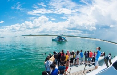 Dolphin Discovery Cruise with Moonshadow TQC Cruises