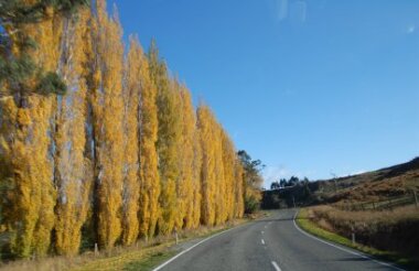 Queenstown to Te Anau with GreatSights