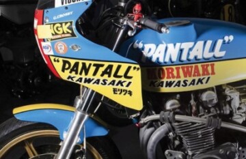 Southern South Island Highlights - Day 7 Southern South Island Highlights - Day 7