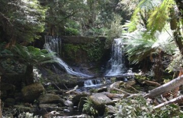 Via Travel: Tasmania Discovery Boutique Tour - Day 1