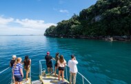 Moutohora Island Sanctuary Tour - lunch included