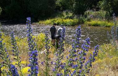 Mt Cook Retreat Fly Fishing