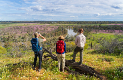 Murray River Trails: Murray River Walk - Day 1
