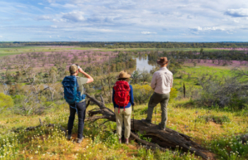 Murray River Trails: Murray River Walk - Day 1