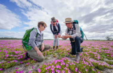 NZ self drive itineraries and package holidays