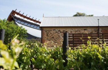 Private Cellar Dining Experience at the National Wine Centre of Australia