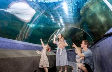 General Admission to National Aquarium of New Zealand